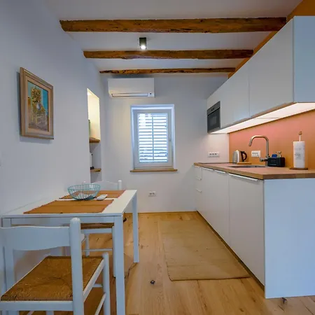Alluring Downtown Apartament